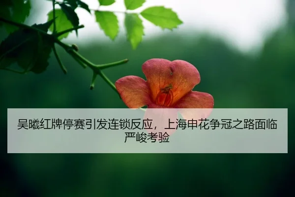 wu-xi-hong-pai-ting-sai-yin-fa-lian-suo-fan-ying-shang-hai-shen-hua-zheng-guan-zhi-lu-mian-lin-yan-jun-kao-yan-2-641.jpg
