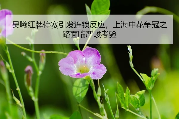 wu-xi-hong-pai-ting-sai-yin-fa-lian-suo-fan-ying-shang-hai-shen-hua-zheng-guan-zhi-lu-mian-lin-yan-jun-kao-yan-3-468.jpg
