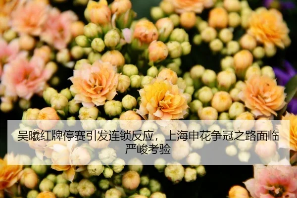 吴曦红牌停赛引发连锁反应，上海申花争冠之路面临严峻考验