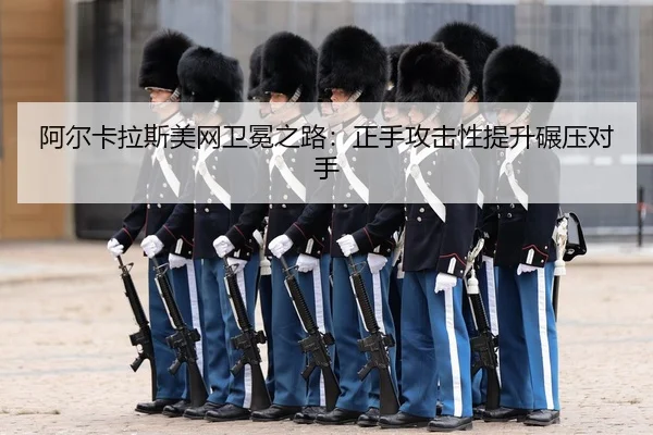 a-er-ka-la-si-mei-wang-wei-mian-zhi-lu-zheng-shou-gong-ji-xing-ti-sheng-nian-ya-dui-shou-3-256.jpg